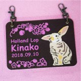 うさぎやペットのシルエット入りグッズをカンタンにオーダー