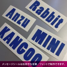 画像4: 《Flags CS》ステッカー ロップジャンプ（EURO）S/M (4)