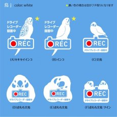 画像2: ＜Drive Recorder ●REC＞カッティングステッカー　（インコ・文鳥）　 デザイン・英・日メッセージが選べます！ (2)