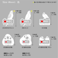 画像3: ＜Drive Recorder ●REC＞カッティングステッカー　（インコ・文鳥）　 デザイン・英・日メッセージが選べます！ (3)