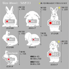 画像4: ＜Drive Recorder ●REC＞カッティングステッカー　 うさぎ（1） デザイン・英・日メッセージが選べます！ (4)