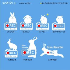 画像2: ＜Drive Recorder ●REC＞カッティングステッカー　 うさぎ（2） デザイン・英・日メッセージが選べます！ (2)