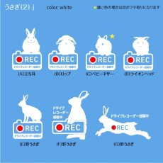 画像3: ＜Drive Recorder ●REC＞カッティングステッカー　 うさぎ（2） デザイン・英・日メッセージが選べます！ (3)