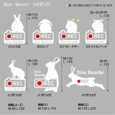 画像4: ＜Drive Recorder ●REC＞カッティングステッカー　 うさぎ（2） デザイン・英・日メッセージが選べます！ (4)