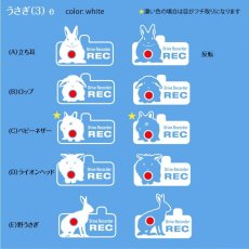 画像1: ＜Drive Recorder ●REC＞カッティングステッカー　 うさぎ（3） デザイン・英・日メッセージが選べます！ (1)