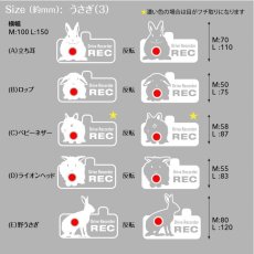 画像3: ＜Drive Recorder ●REC＞カッティングステッカー　 うさぎ（3） デザイン・英・日メッセージが選べます！ (3)