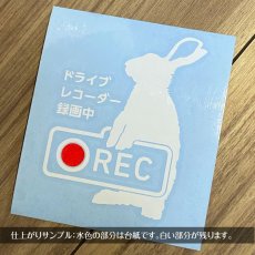 画像4: ＜Drive Recorder ●REC＞カッティングステッカー　（インコ・文鳥）　 デザイン・英・日メッセージが選べます！ (4)