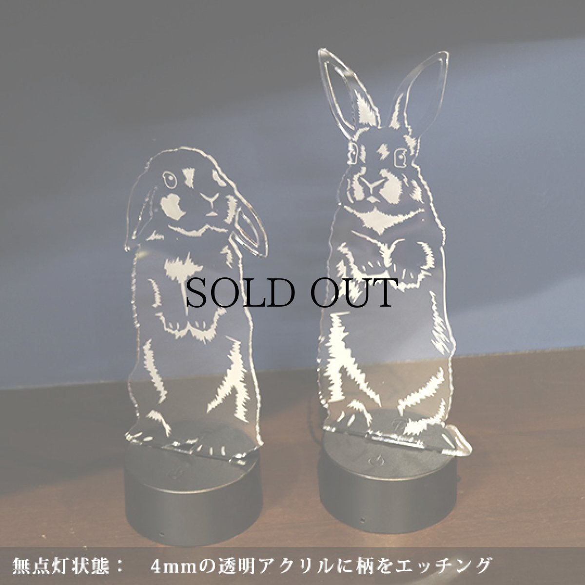 画像2: 【数量限定】LEDパリピライト (2)