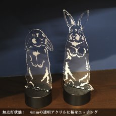 画像2: 【数量限定】LEDパリピライト (2)