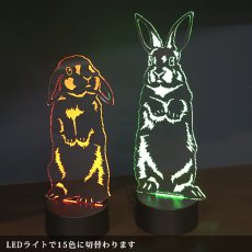 画像4: 【数量限定】LEDパリピライト (4)