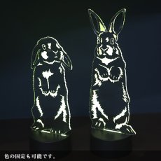 画像5: 【数量限定】LEDパリピライト (5)