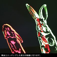 画像3: 【数量限定】LEDパリピライト (3)