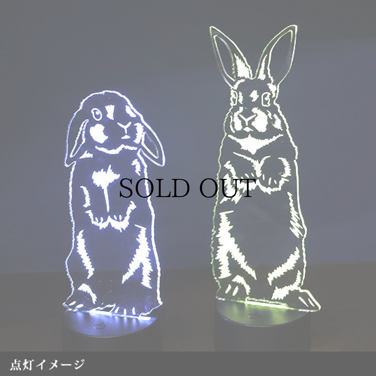 画像8: 【数量限定】LEDパリピライト (8)