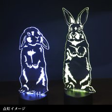 画像8: 【数量限定】LEDパリピライト (8)