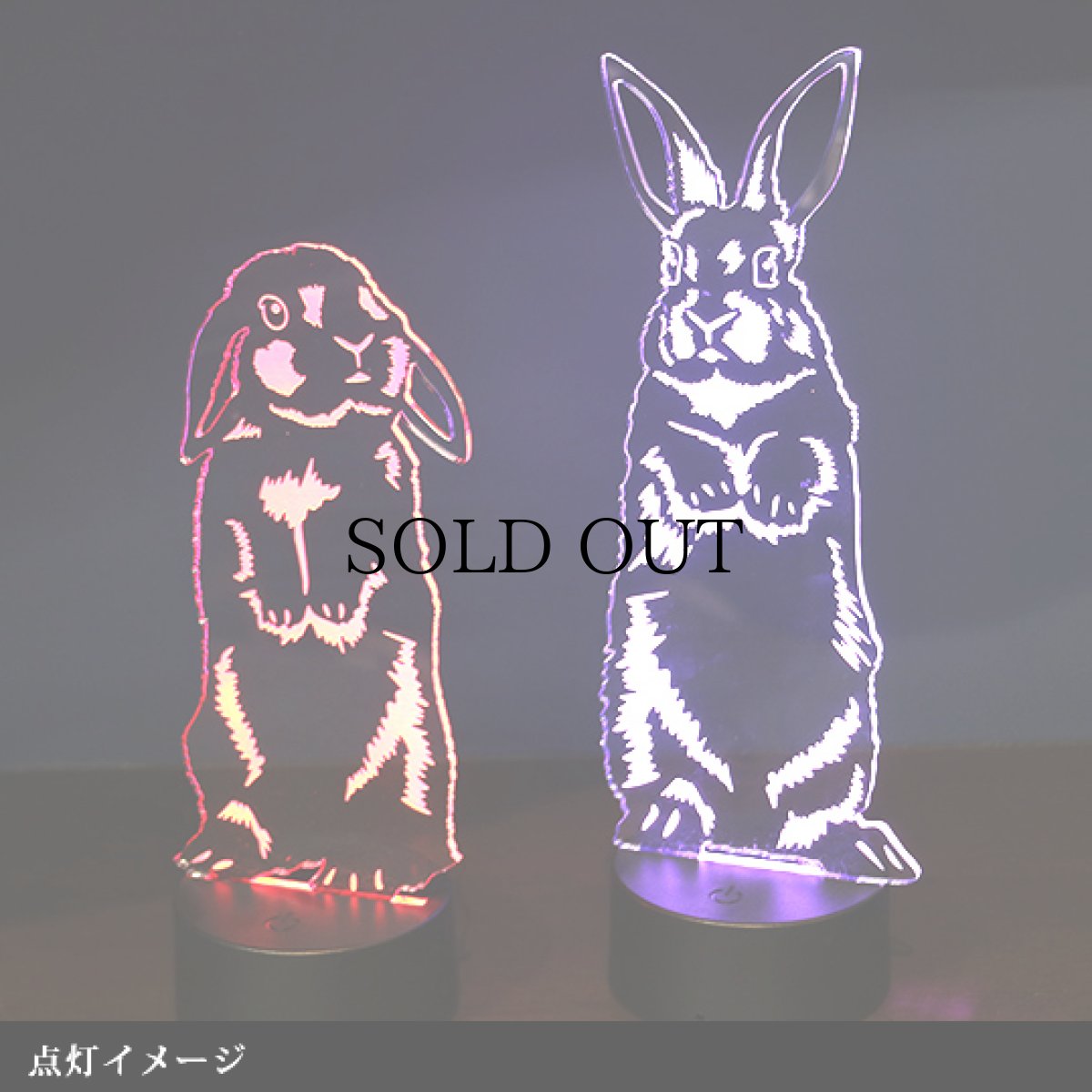 画像9: 【数量限定】LEDパリピライト (9)