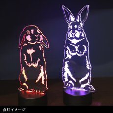 画像9: 【数量限定】LEDパリピライト (9)