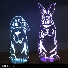 画像10: 【数量限定】LEDパリピライト (10)